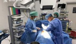 医生爆料结石视频,揭秘结石形成与预防之道